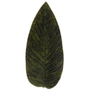 Riviera Strelizia Forêts Leaf Platter 398mm