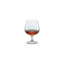 Premium Cognac Glass 645ml