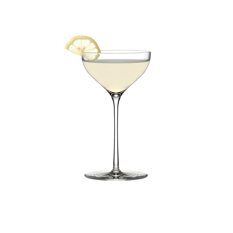 Kyoto Bar Nick & Nora Glass 190ml (161×89mm)