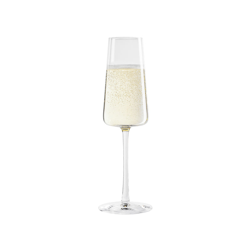 Power Champagne Flute 240ml