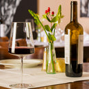 Power Red Wine Glass 520ml