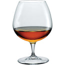 Premium Cognac Glass 645ml