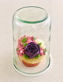 Weck Glass Jars with Lid 850ml 100x147mm (743)